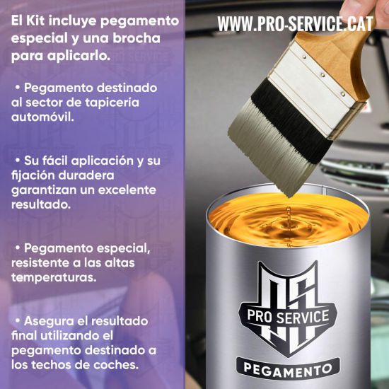 pegamento%20especial%20techo%20coche%20AUDI%20%20A4%201998%20-%202002%20color%20gris%20oscuro